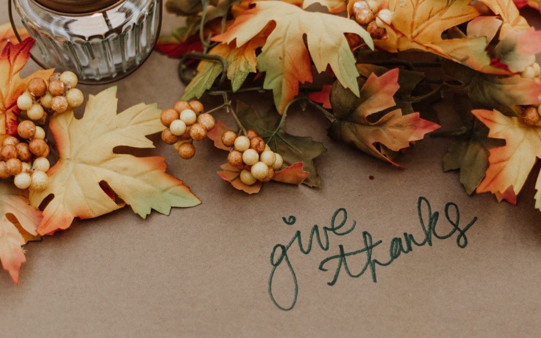 Happy Thanksgiving - Giveaway and Book Deals